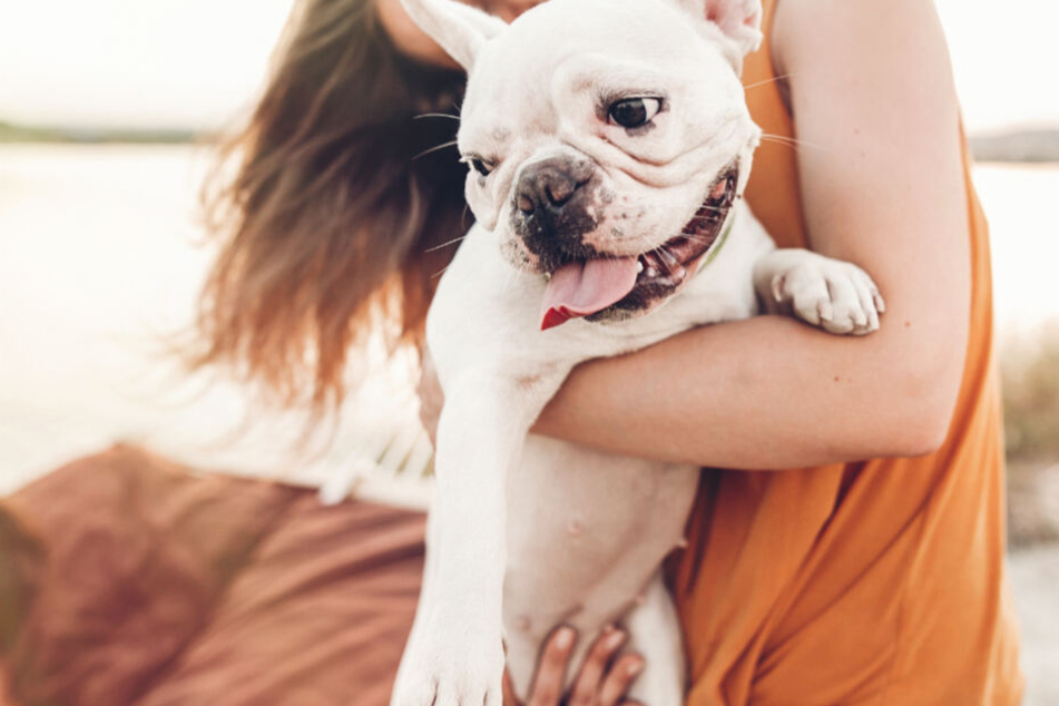 Schmerzlicher Verlust: Die traurige Hundebesitzerin überlegt nun, gegen den Pflegesalon zu klagen. (Symbolbild)