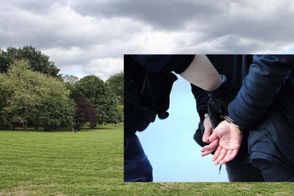 Im Alaunpark wurde der Messerstecher verhaftet.