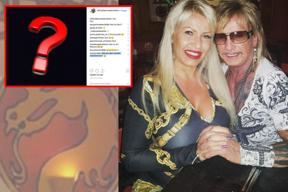 Rätselhaft: Ginger, Bert und das mysteriöse Posting.