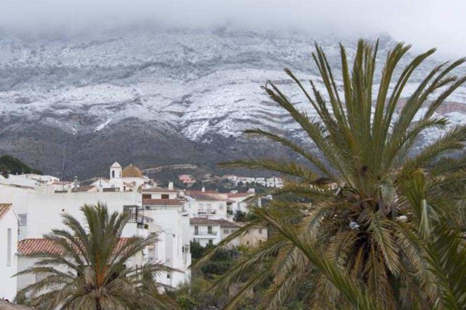 Schnee und Eis auch in Südspanien: Die Region um Valencia ist der größte Obst- und Gemüselieferant für Europa.