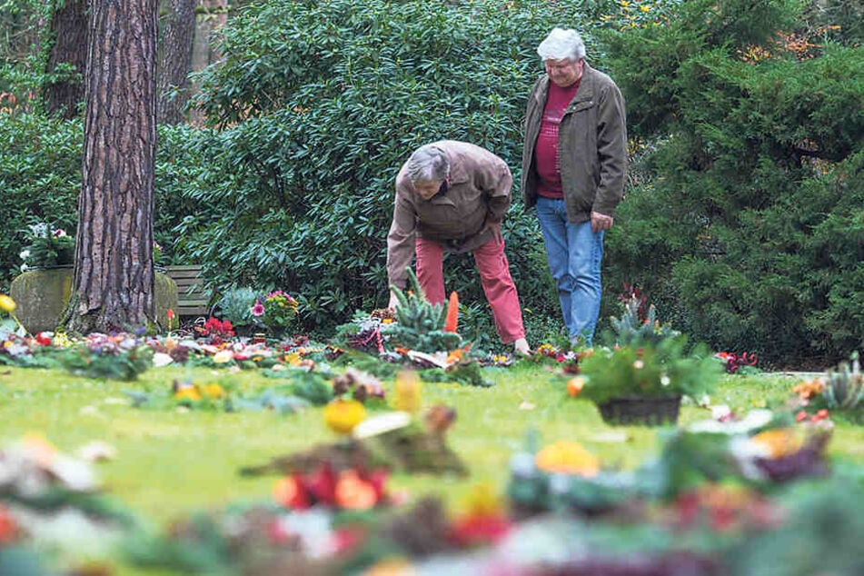 Monika (67) und
Herbert Kirsch (69)
legen einen Kranz
für die verstorbene
Großmutter an den
Rand der grünen
Wiese. Eigentlich
ist ihr Grab ein paar
Schritte weiter in
der Mitte - aber
dorthin dürfen sie
nicht zu Fuß.