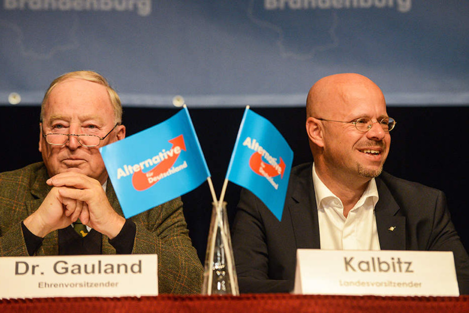Zwei Verbalradikale: Alexander Gauland (77, l.) und Alexander Kalbitz (45). Kalbitz wirkte früher bei extrem Rechten mit.