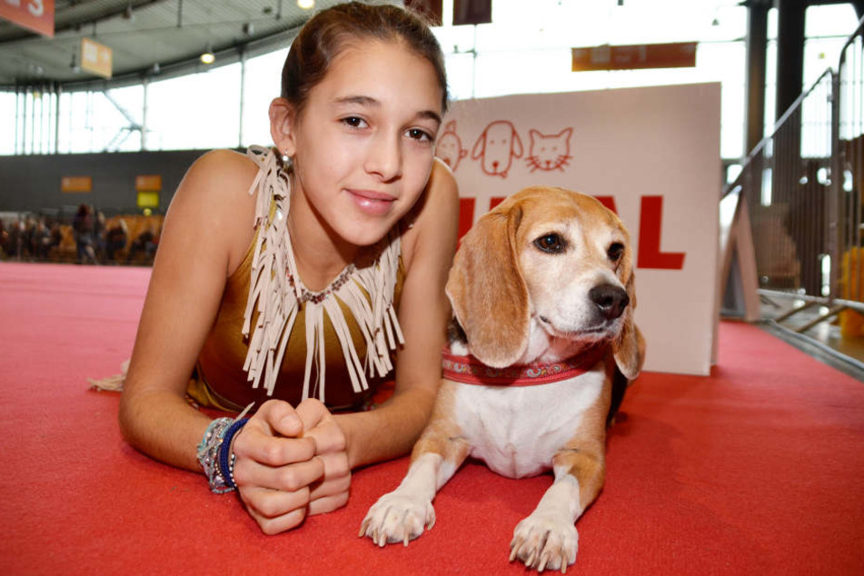 Julia (14) und ihr Beagle Wiki wirken ganz entspannt vor ihrem großen Auftritt auf der Animal.