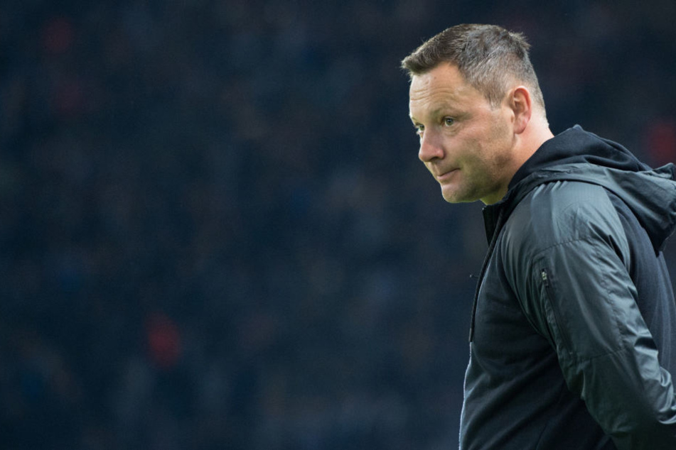 Fordert eine schnelle Lösung: Pal Dardai