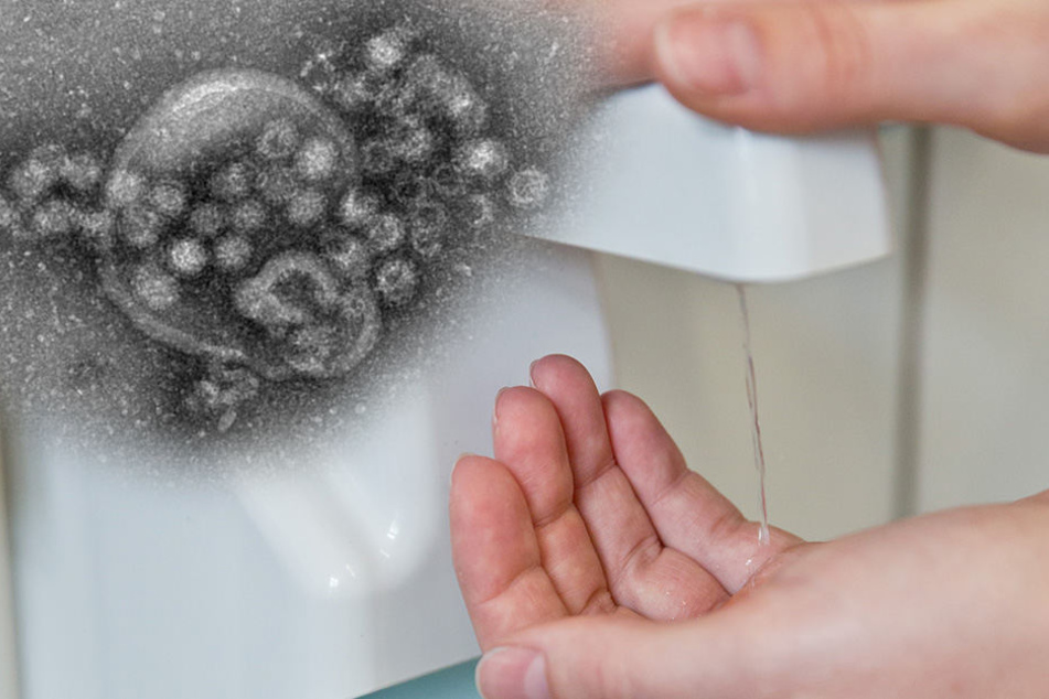 Desinfektionsmittel soll laut Experten davor schützen, sich mit dem Norovirus anzustecken. (Symbolbild)