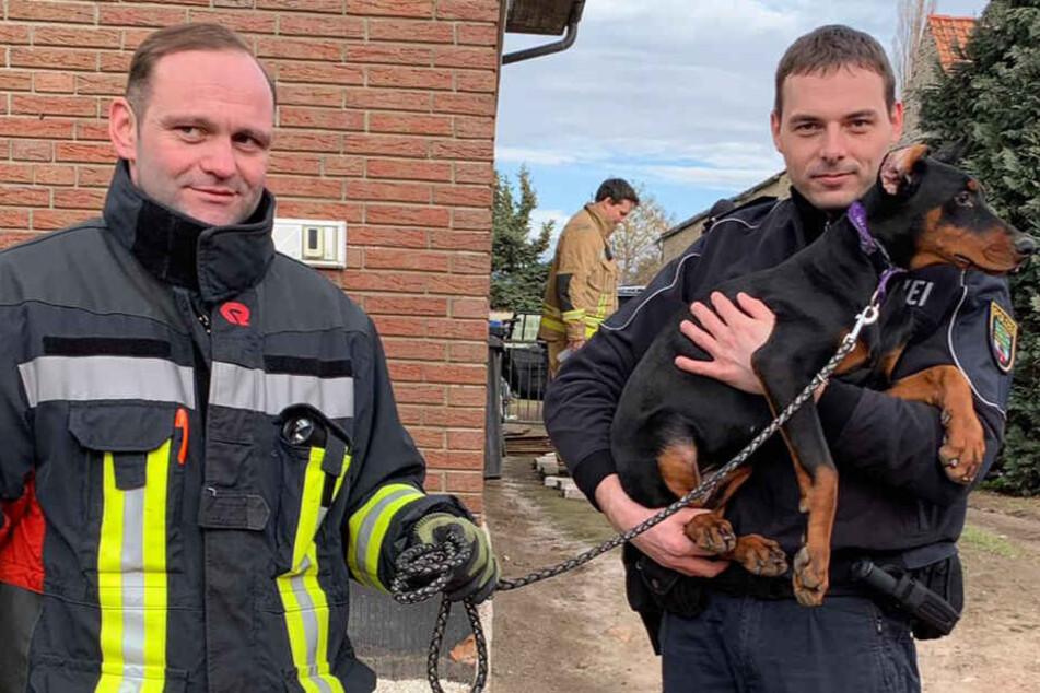 20 Tiere wurden festgestellt, von denen 15 beschlagnahmt wurden.