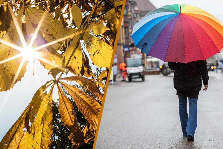 Das Wochenende wird herbstlich: Stellt euch auf Sonnenschein und Regen ein!