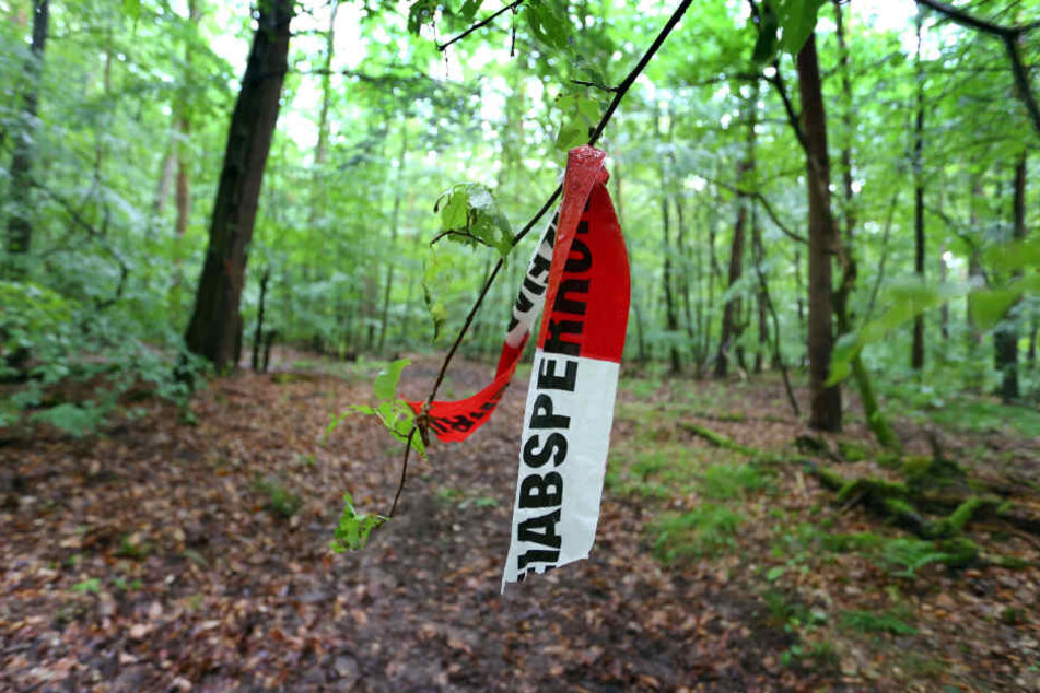 In einem Waldstück wurde der behinderte Sohn unversehrt aufgefunden.