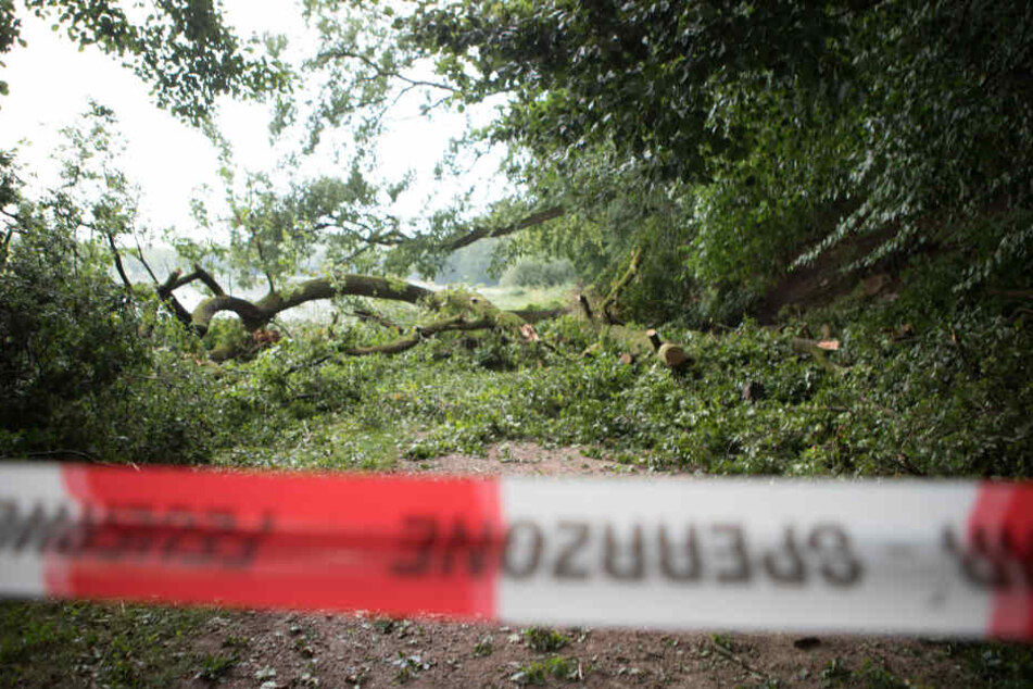 An dieser Stelle wurden die beiden Jugendlichen vom Sturm überrascht.