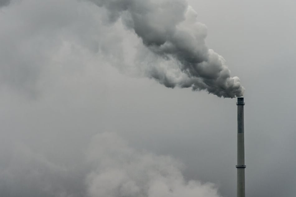 Auch in Sachen "Zustand der Umwelt" zeigen sich die Befragten nun deutlich kritischer. (Symbolbild)