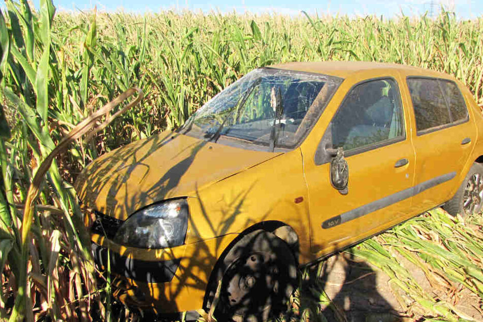 Erst in einem Maisfeld kam das Auto zum Stehen.
