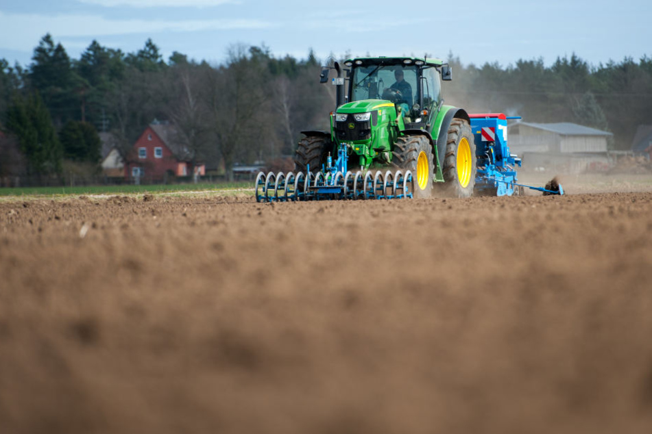 Nur durch Schüsse konnte der polizeibekannte Landwirt gestoppt werden. (Symbolbild)