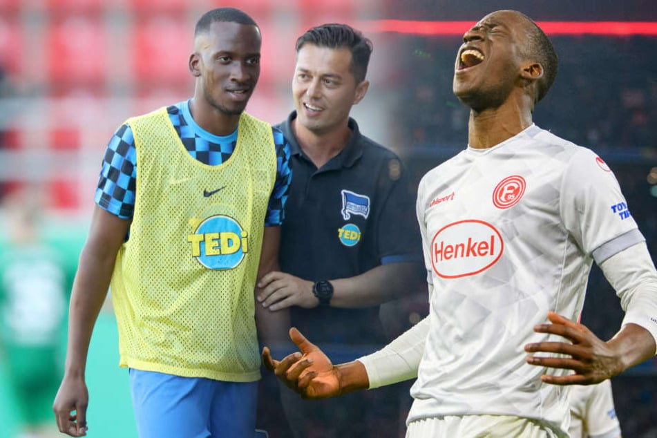 Dodi Lukebakio konnte gegen Bayern drei Tore erzielen.