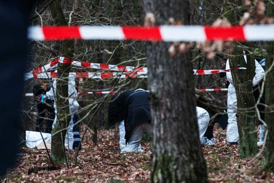 In einem Waldstück in Reinickendorf wurde eine Frau getötet (Symbolbild).
