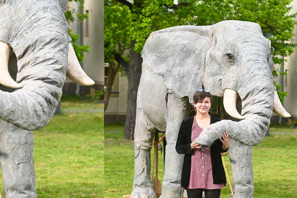 Studentin Eva Radt mit ihrer tierischen Diplomarbeit - einem Elefanten, der (nicht nur) auf Theaterbühnen zu Hause ist.