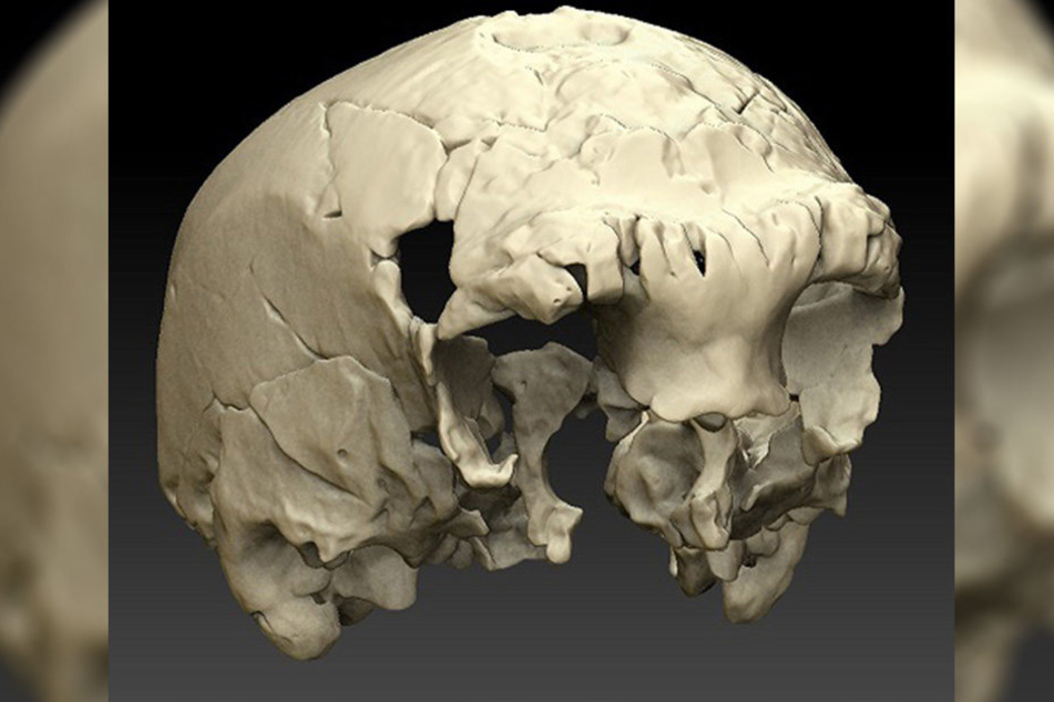 Wissenschaftler haben in Portugal einen etwa 400 000 Jahre alten menschlichen Schädel gefunden. Die Grafik zeigt eine Virtuelle Rekonstruktion eines Menschenschädels.