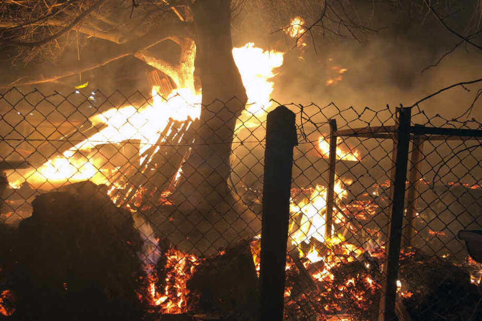 In Mildenau stand ein Schuppen und gelagertes Holz in Flammen.