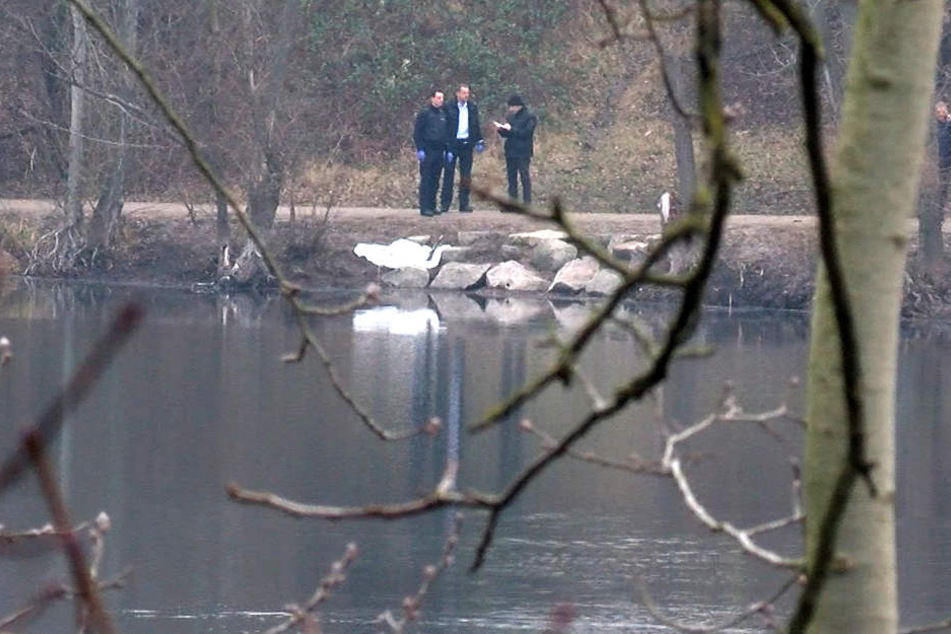 Erneut tauchen Polizeibeamte ab, in der Hoffnung, etwas im Weiher zu finden. (Archivbild)