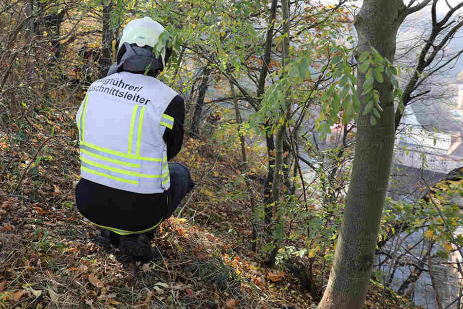 Am Hohen Stein suchten Rettungskräfte nach einem verschwundenen Hund.