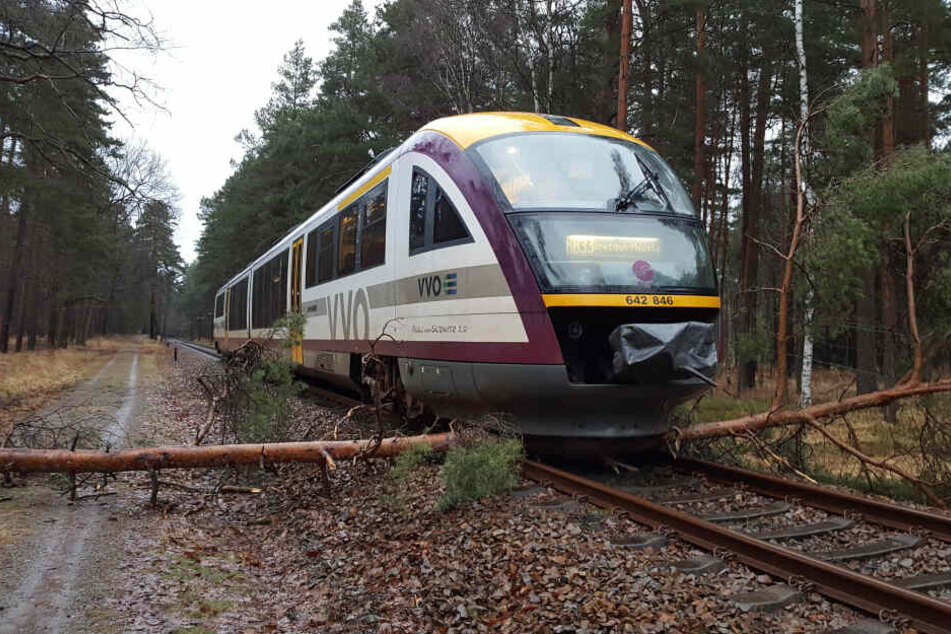 Immer wieder krachen morsche Bäume auf die Gleise, legen den Bahnverkehr lahm.