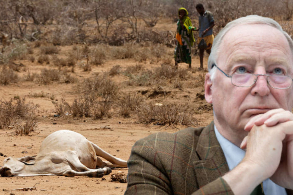 Laut Rechtspopulist Alexander Gauland (77, AfD) knne die Menschheit am Klimawandel ohnehin nichts ändern. (Bildmontage)