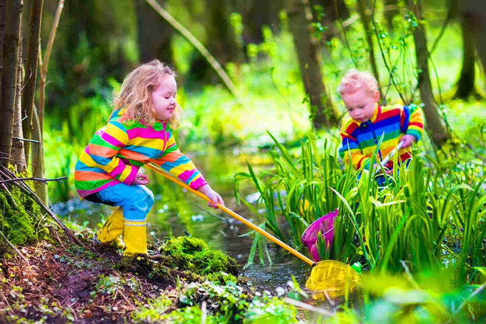 Ganzjährig draußen spielen und lernen ist das Ziel eines Waldkindergartens.