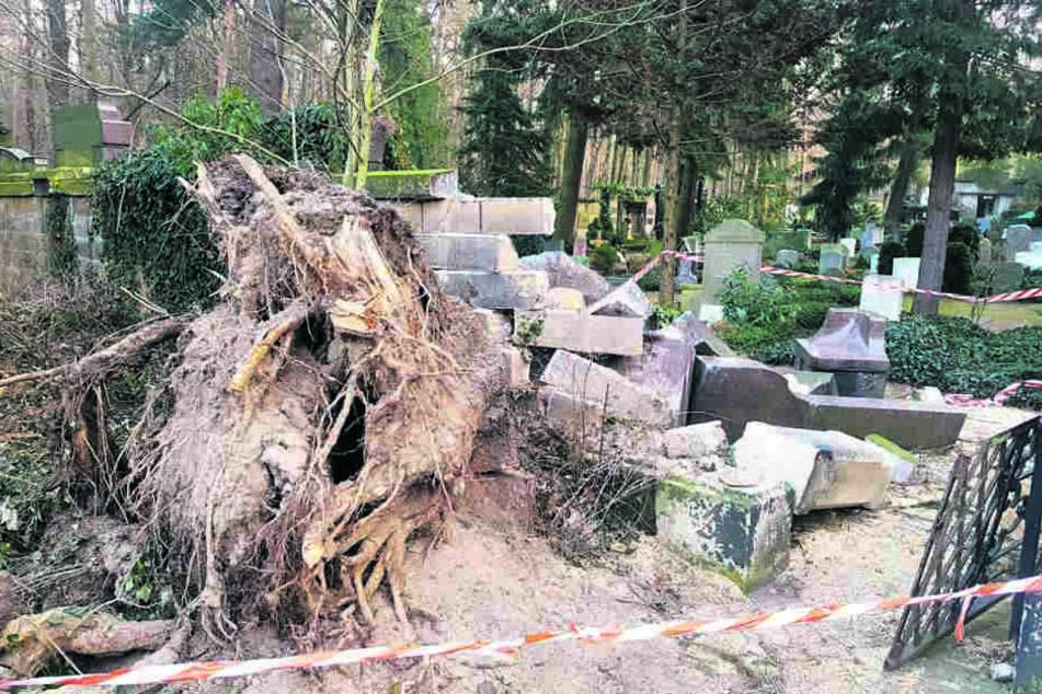 Die Wucht des entwurzelten Baumes riss auch Teile der Friedhofsmauer mit ein. Die Kirchgemeinde schätzt den gesamten Sturmschaden auf 15.000 Euro.