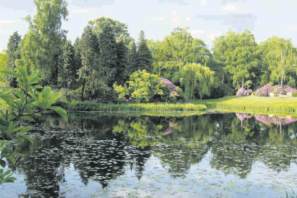 Der Stöckener Friedhof in Hannover mit Teich und Urneninsel