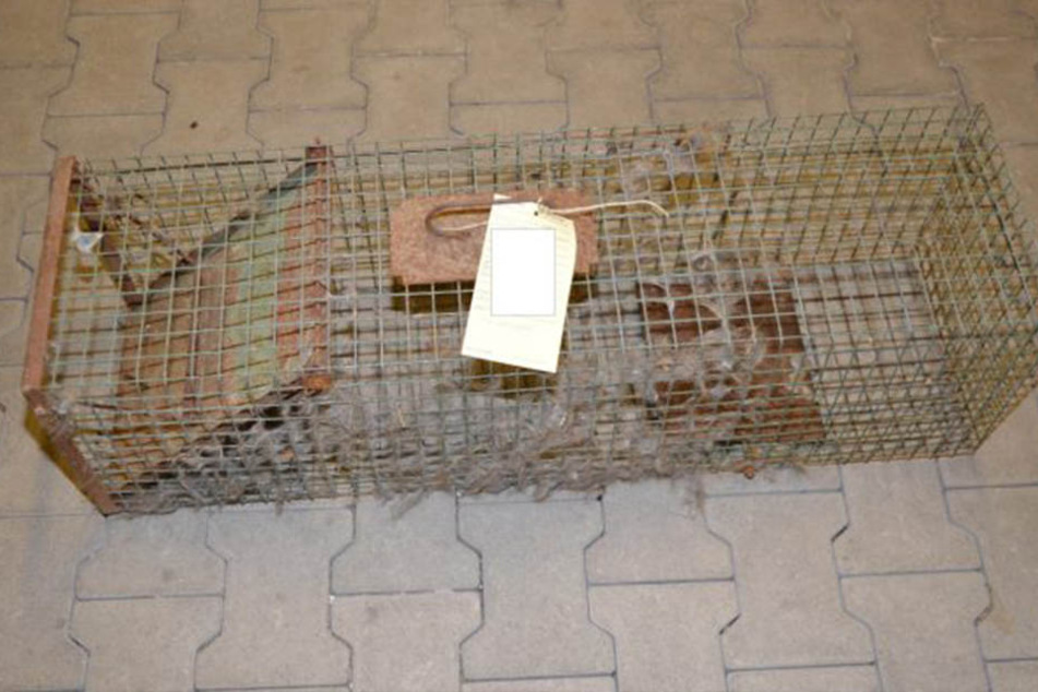 Der Rentner hatte die Katze mit dieser Falle gefangen.