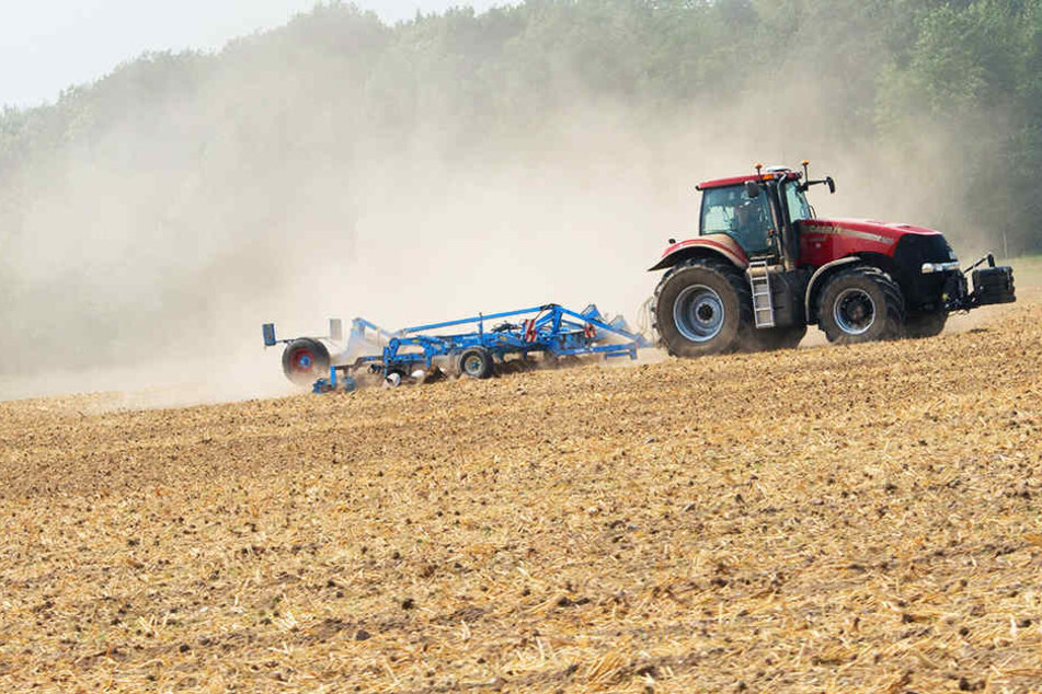 Vor allem die Böden in Ost- und Nordsachsen brauchen dringend Regen.