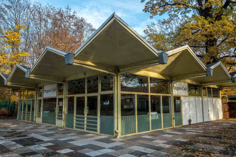 Derzeit laufen Erschließungsarbeiten für das neue Pinguin-Cafe. Der alte Bau (Foto) wird im Februar abgerissen. Die Pinguine lassen die Arbeiten kalt. Sie
planschen in ihrem Becken.