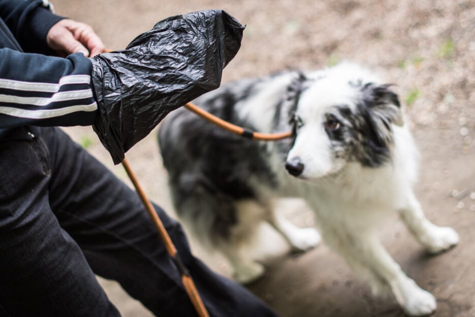 In NRW gibt es immer mehr Hunde und damit auch mehr Probleme durch ihren Kot.