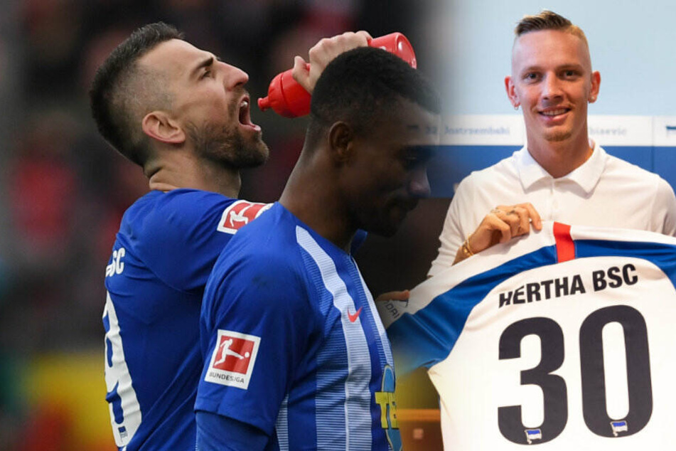 Salomon Kalou und Vedad Ibisevic müssen durch die Verpflichtung von Marius Wolf um ihren Stammplatz zittern.