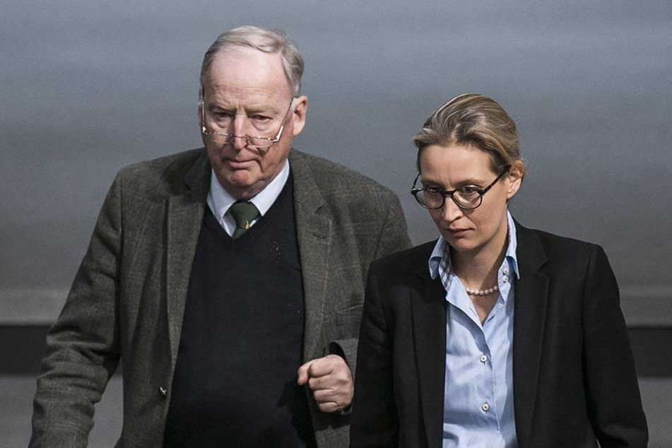 Verbal-Attacken z.B. der AfD-Bosse Alexander Gauland und Alice Weidel kontert Habeck betont sachlich.
