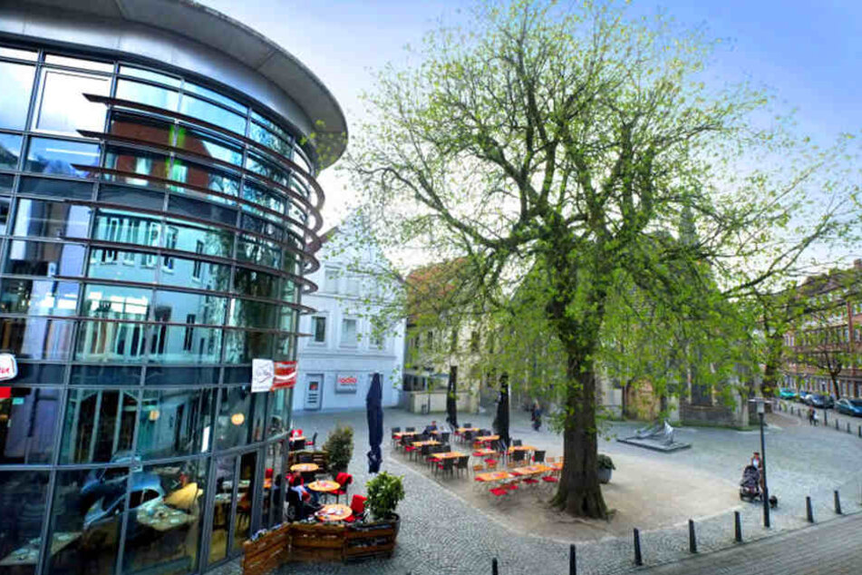 Die Kastanie auf dem Süsterplatz ist so stark beschädigt, dass es für sie wohl keine Rettung mehr gibt.