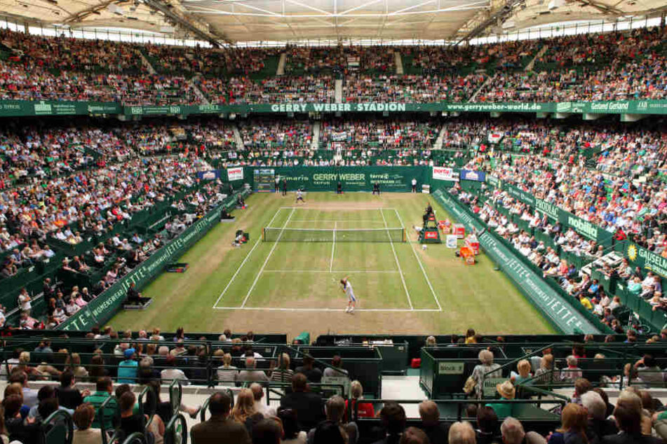 Jedes Jahr wird das Gerry Weber Stadion in Halle (Westfalen) zum Tennis-Court.