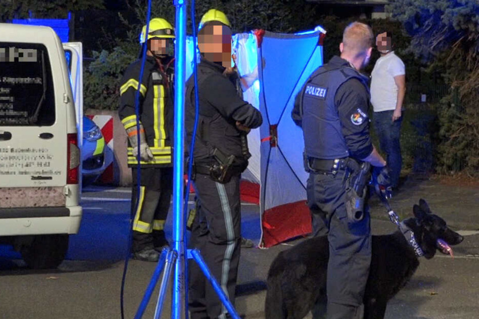 Auch ein Polizeihund kam zum Ansatz, um den Mob in Schach zu halten.