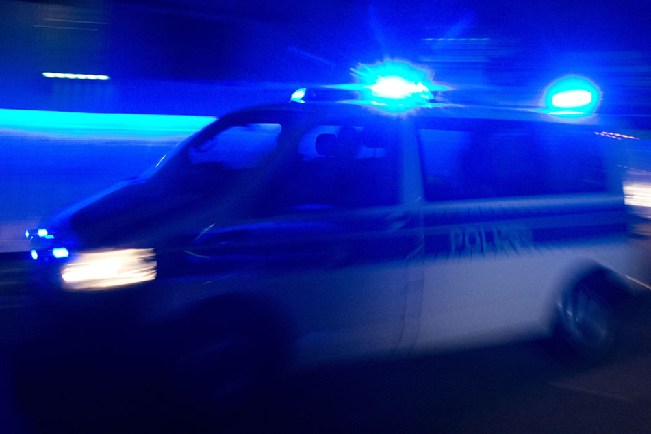 Das Damen-Trio wurde in Handschellen abgeführt.