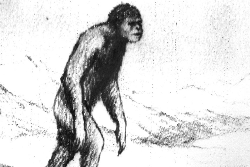 Gibt es den mysteriösen Schneemenschen, den Yeti? Es gibt zahlreiche Theorien.
