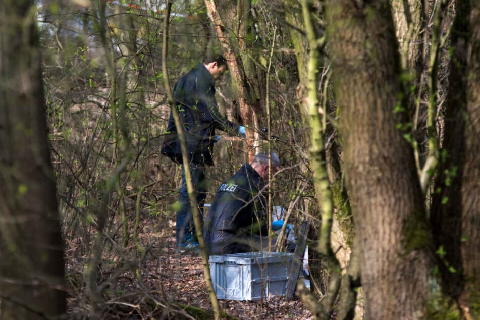 Ermittler der Polizei stehen in dem Waldstück, in dem Schüler eine Babyleiche fanden.