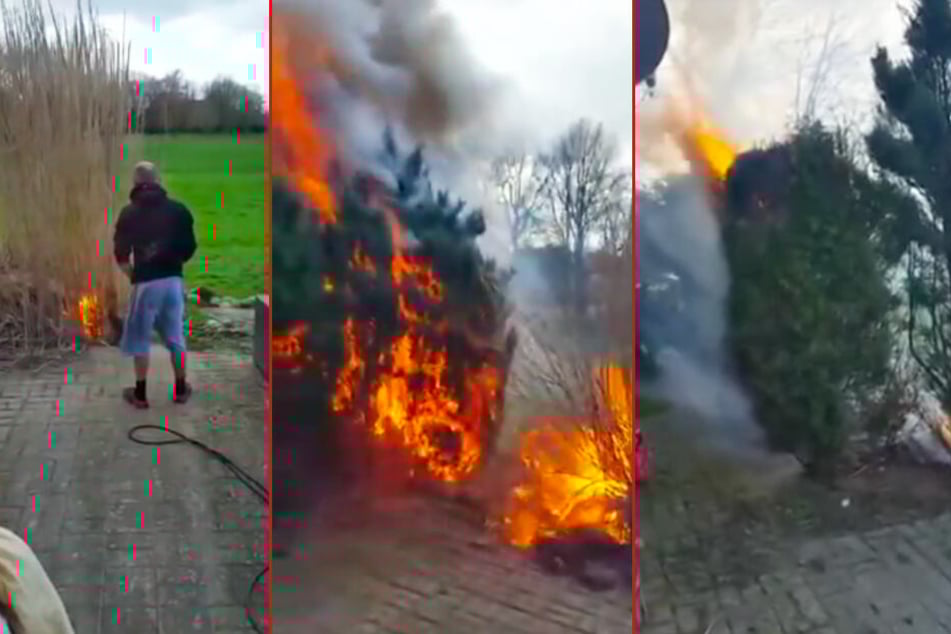 Mann Fackelt Hecke Ab Seine Frau Filmt Und Rastet Vollig