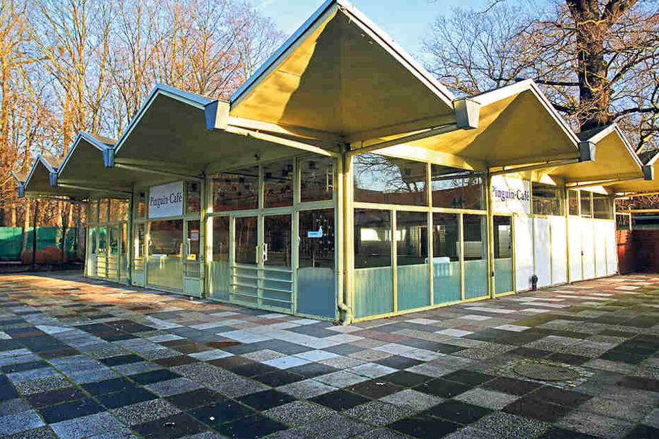 Stimmt der Rat zu, wird Dresden das Pinguin-Café im Dresdner Zoo für 40.000 Euro zurück bauen und einlagern.