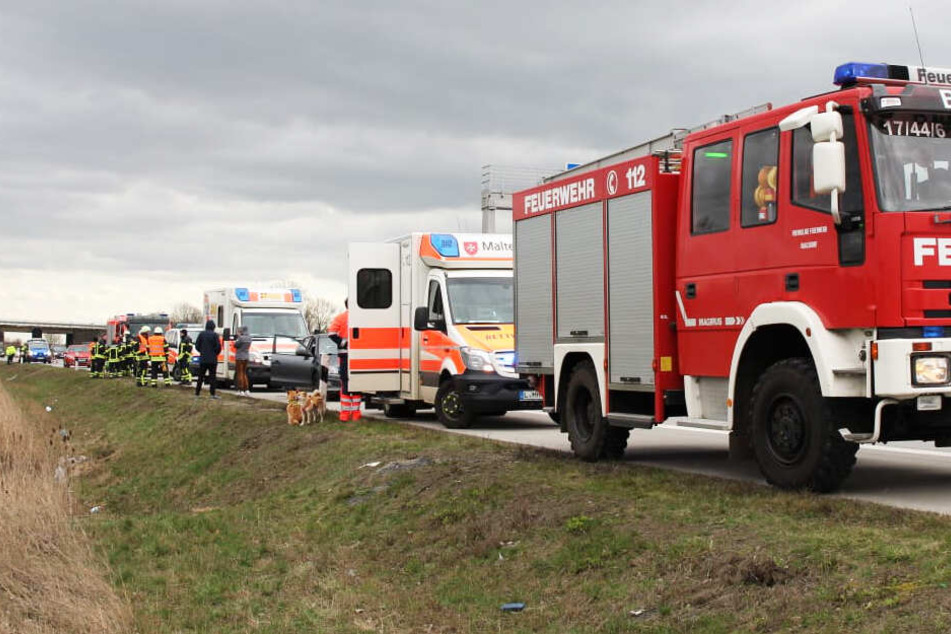 Mehrere Einsatzwagen von Rettungsdienst und Feuerwehr waren vor Ort.