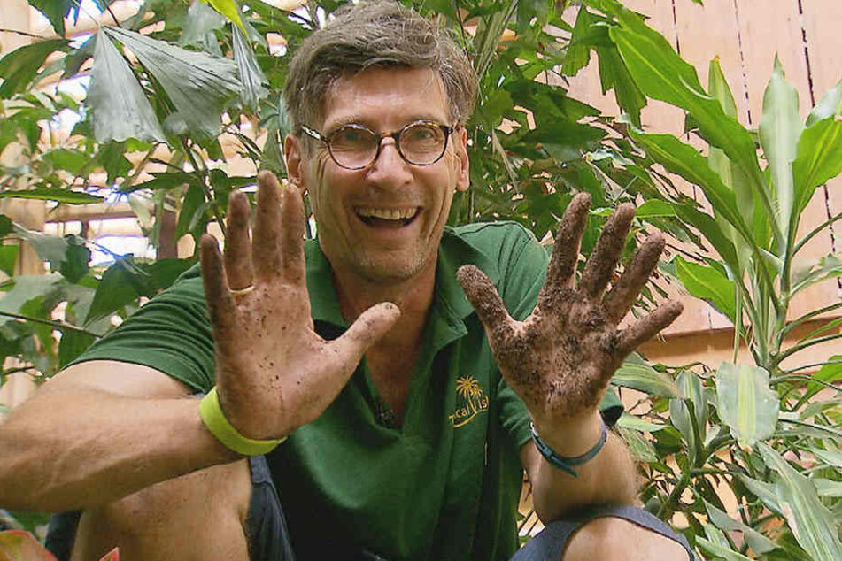 Als Undercover Boss muss Michiel Illy unter anderem als Gärtner im Tropical Islands hart arbeiten.