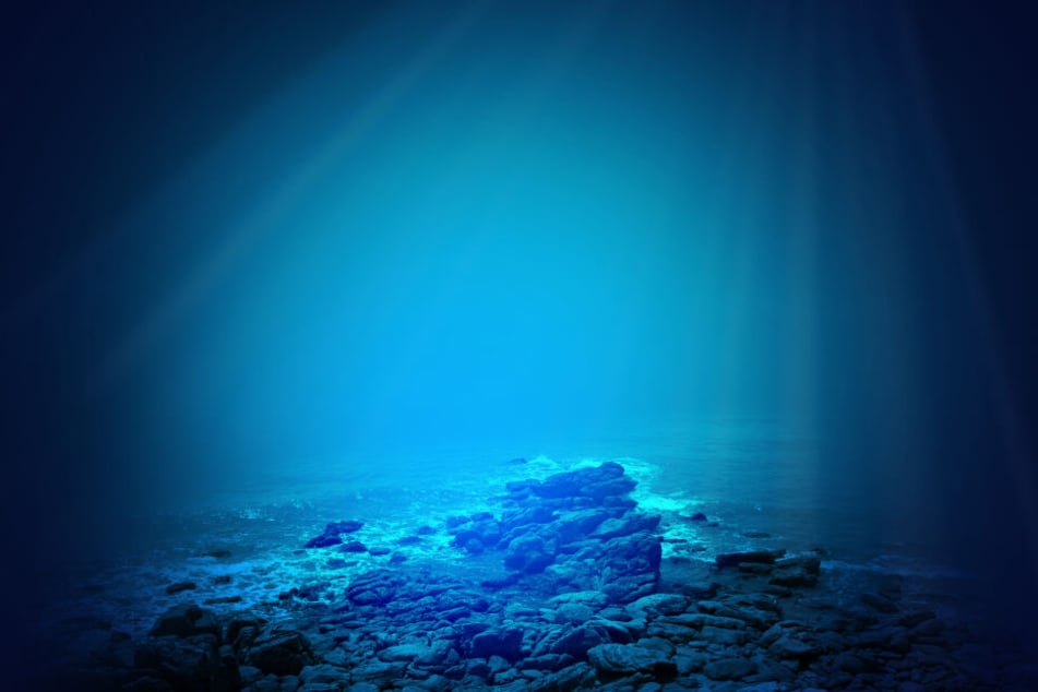 In die Tiefe des Meeres gelangt selten so viel Licht wie auf diesem Bild, große Augen sind deshalb sehr sinnvoll.