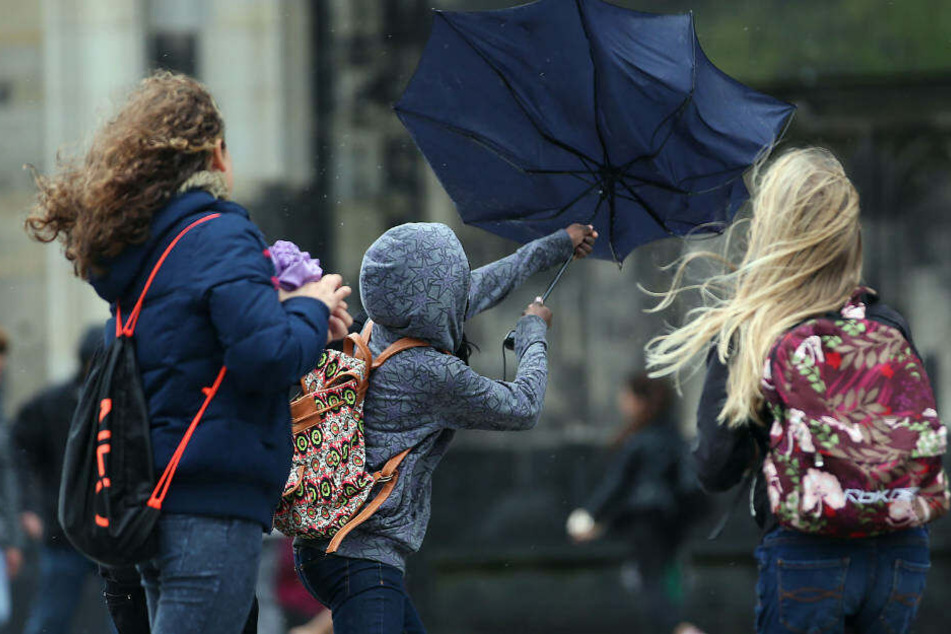 In den kommenden tagen sollte man morgens eine Jacke nicht vergessen, empfiehlt die DWD-Meteorologin.