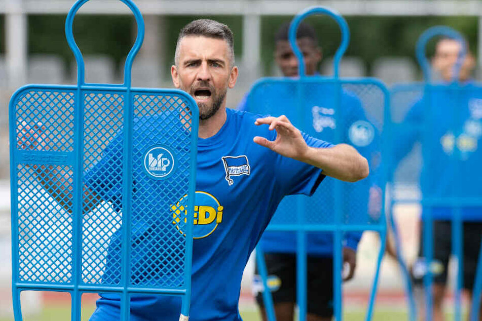 Vedad Ibisevic beim Training.