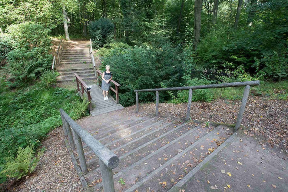 Vielen Chemnitzern ist der über hundert Jahre alte Erholungsbereich "Sechserschlucht" nicht bekannt.