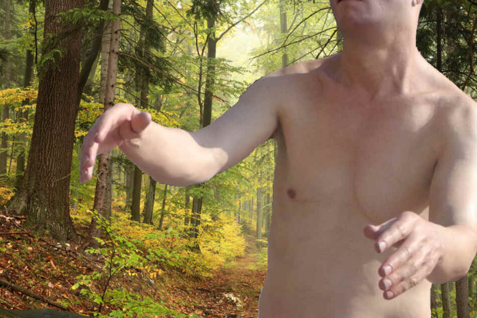 Der Mann war komplett nackt im Wald unterwegs. (Symbolbild)