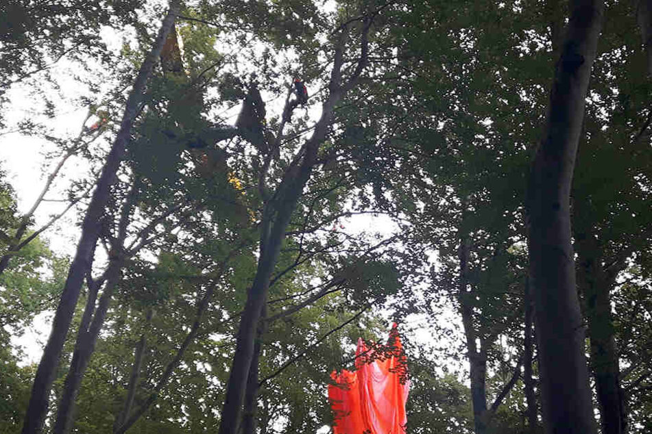 In der von Schwäbisch Gmünd ist ein Ultraleichtflugzeug abgestürzt und in einem Baum hängen geblieben.